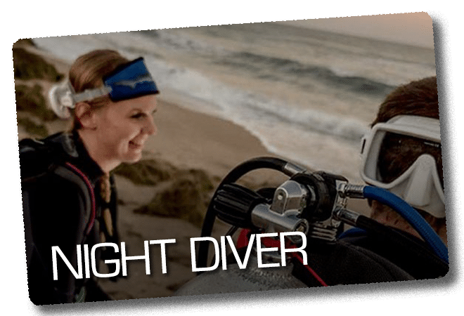 Night Diver