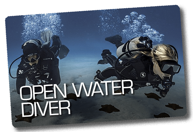 Open Water Diver Online
